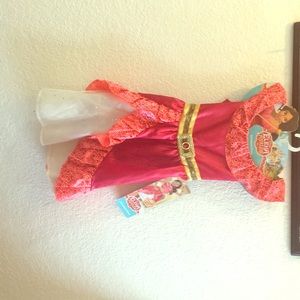 Disney Elena costume play dress